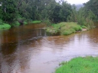 Tuross River Tuross River