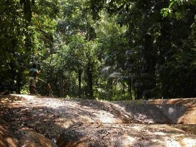 Ujung Kulon National Park