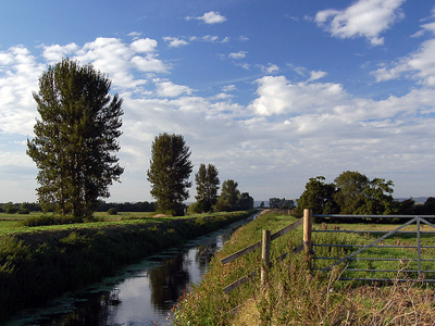 Somerset