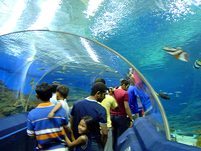 Underwater World Pattaya