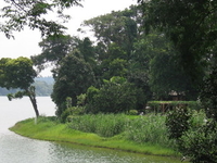 Upper Seletar Reservoir