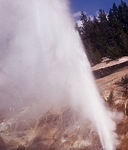 Valentine Geyser Valentine Geyser