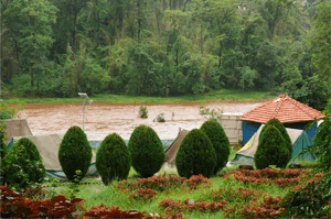 Vansda National Park