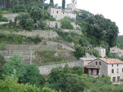 Vernon