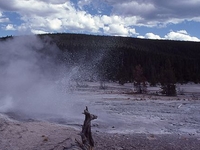 Veteran Geyser Veteran Geyser