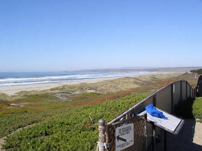 Surf Beach