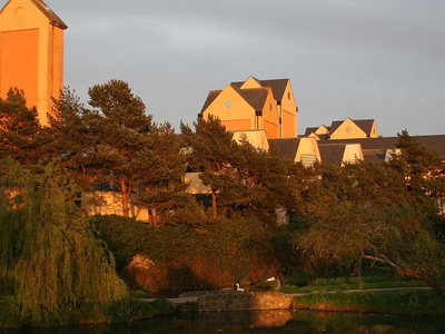Naas