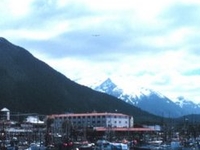 Sitka