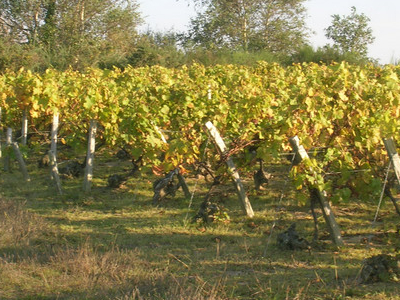 Pays de la Loire