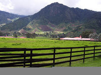 Volcan Volcan