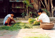 Vong Village Vong Village