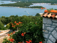 Vrsar