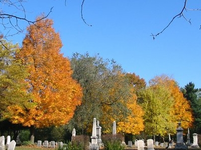 Vale Cemetery and Vale Park