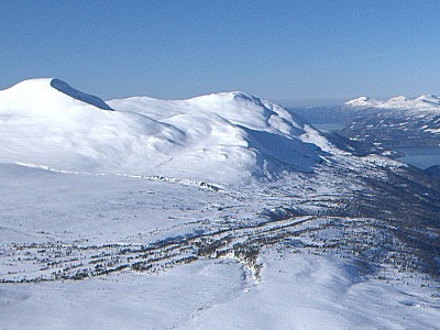Vassnebba
