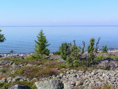 Holmöarna