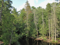 Wading River