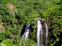 Wailua River State Park Wailua River State Park