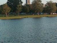 Wakefield Wakefield