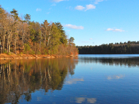 Walden Pond