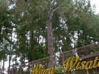 Wanawisata Forest