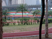 Wan Chai Sports Ground