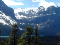 Waputik Icefield Waputik Icefield