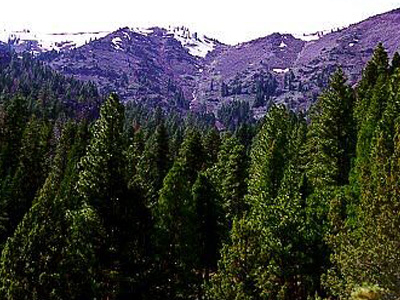 Warner Mountains