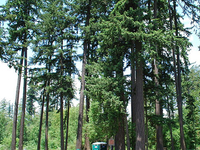 Washburne State Wayside Washburne State Wayside