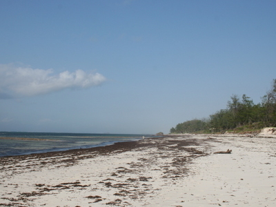 Watamu
