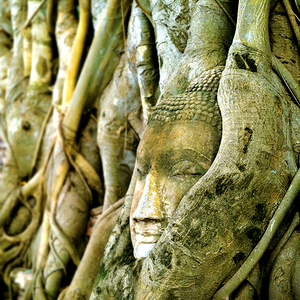 Wat Phra Mahathat
