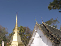 Wat Phra That Doi Tung