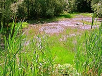 Weingraben Natural Monument Weingraben Natural Monument