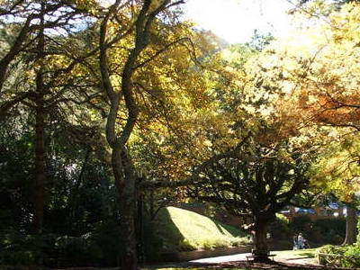 Wellington Botanic Garden