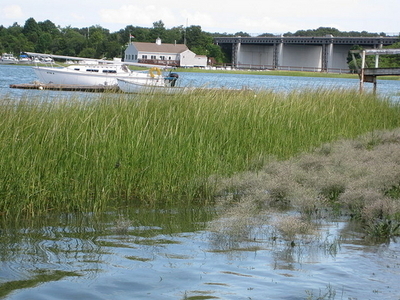 Weymouth Back River