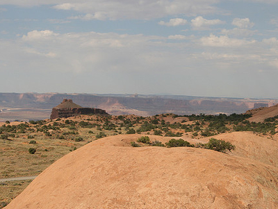 Whale Rock Trail