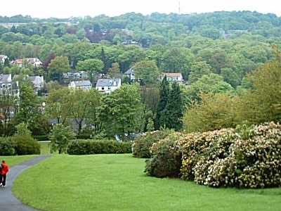 Bingham Park