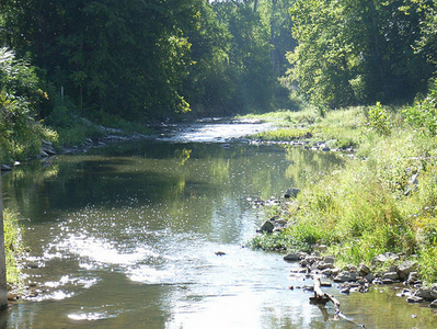 White Lick Creek