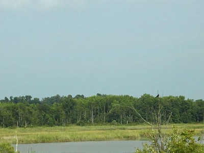 Wicomico River