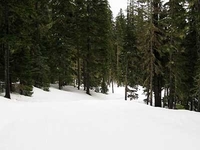 Willamette Pass Resort