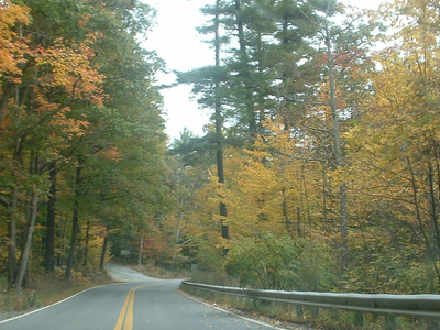 Willard Brook State Forest