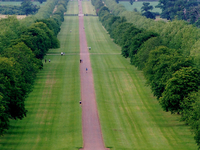 Windsor Great Park Windsor Great Park
