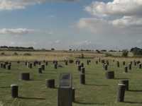 Woodhenge Woodhenge