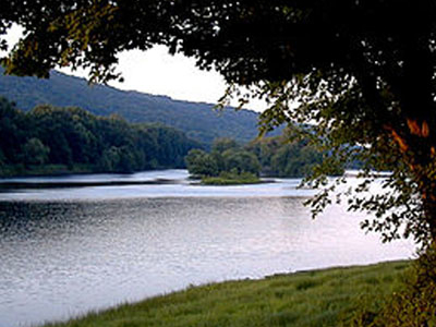 Worthington State Forest
