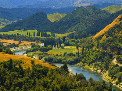 Whanganui National Park