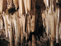 Wonder Cave Wonder Cave