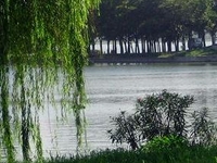 Xuanwu Lake