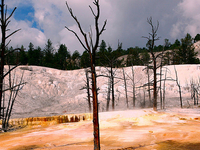 Yellowstone Plateau