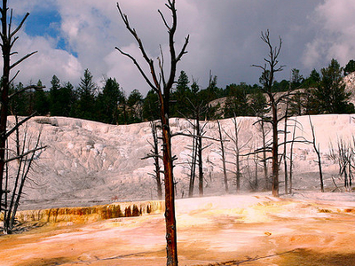 Yellowstone Plateau Yellowstone Plateau