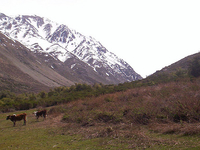 Yerba Loca Nature Sanctuary Yerba Loca Nature Sanctuary