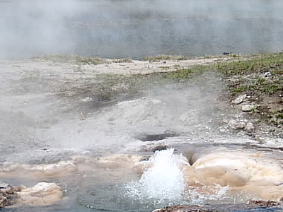 Young Hopeful Geyser